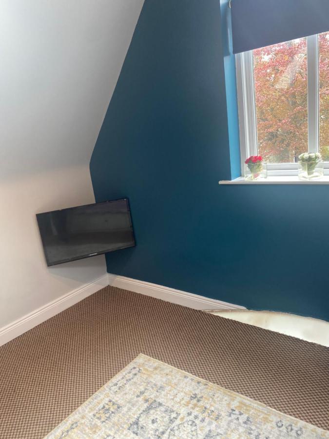 The Willows Lovely Double Apartment Rostrevor Exteriör bild
